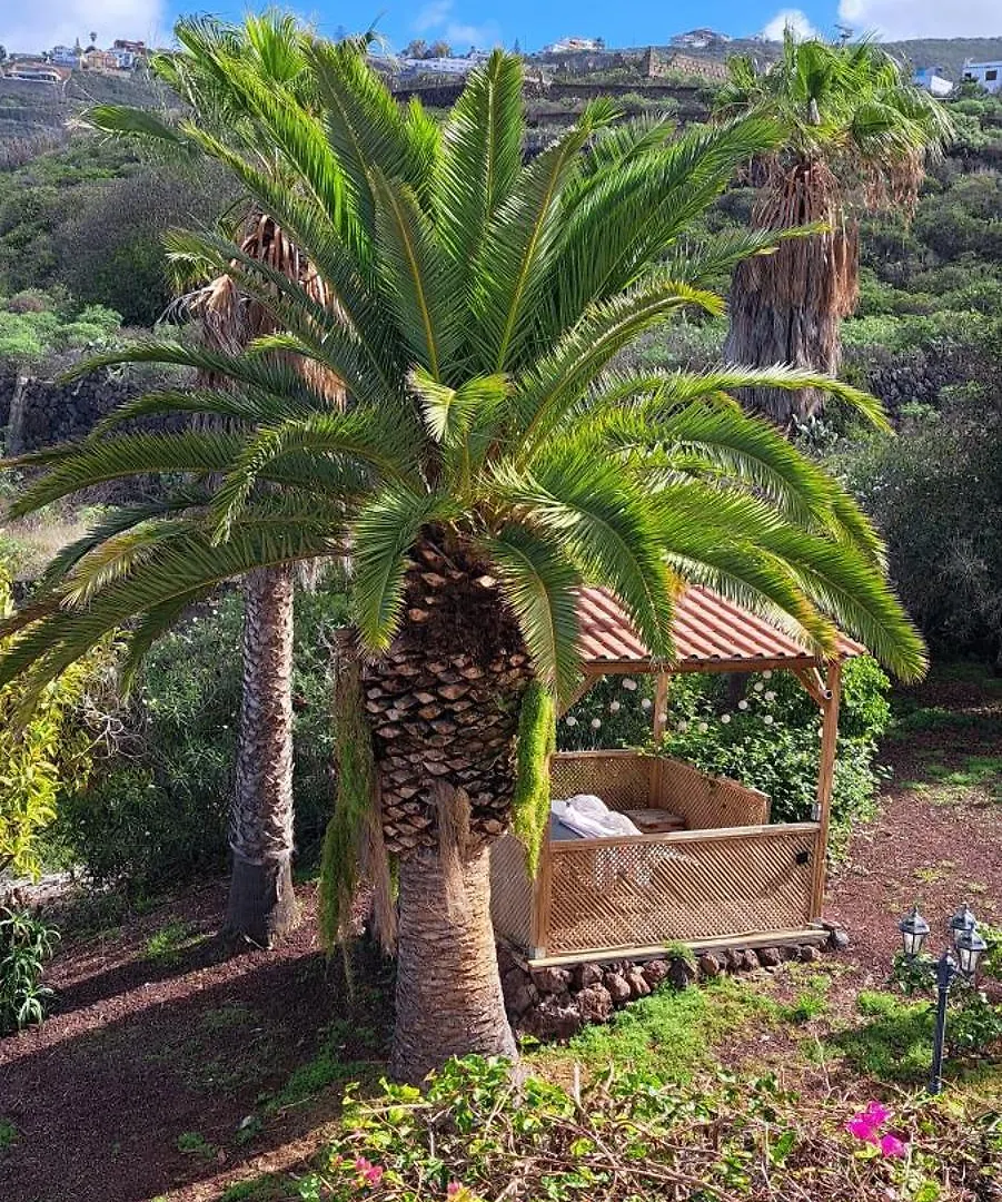 Villa Larnia De Tenerife El El Sauzal 0*,  Espagne