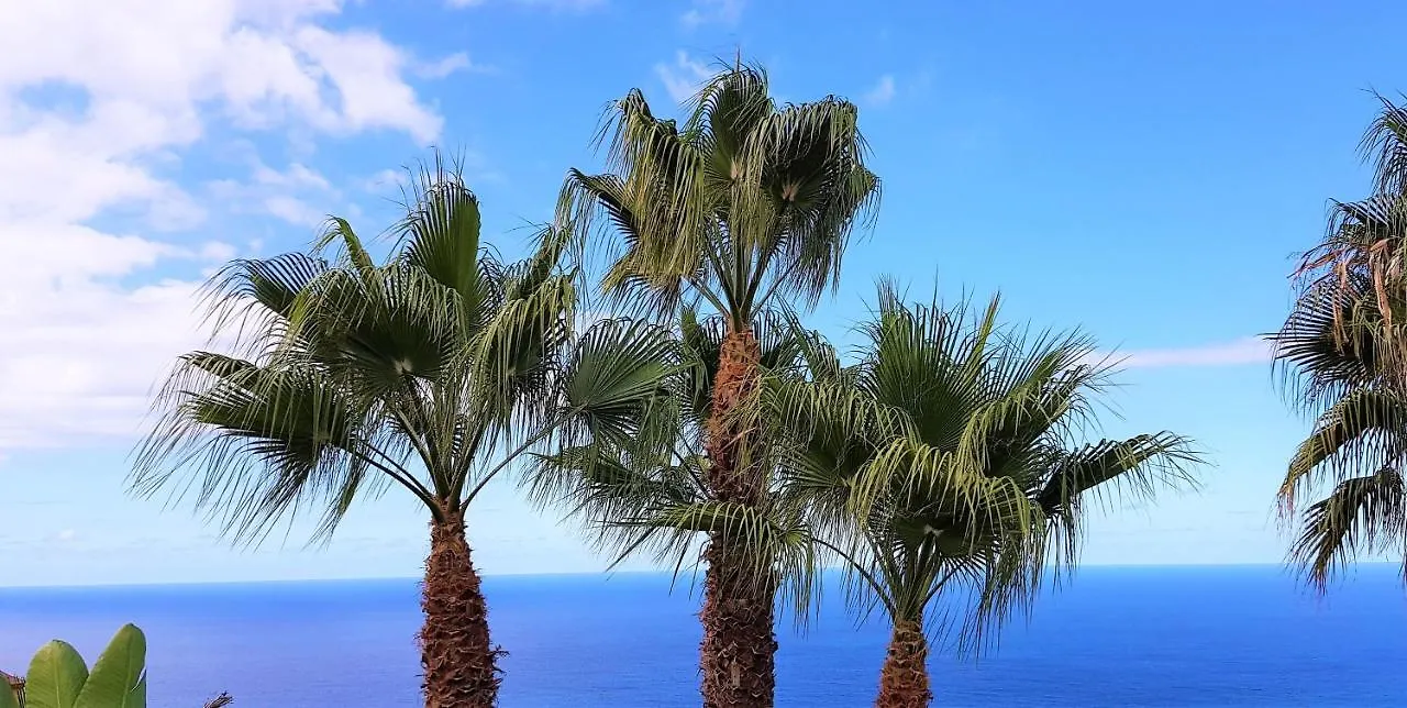 Villa Larnia De Tenerife El El Sauzal Appartement
